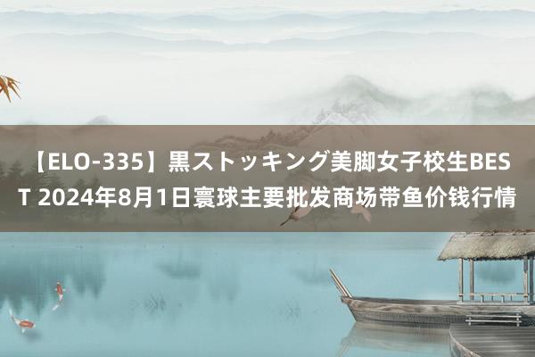 【ELO-335】黒ストッキング美脚女子校生BEST 2024年8月1日寰球主要批发商场带鱼价钱行情