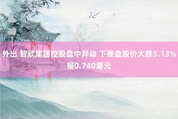 外出 智欣集团控股盘中异动 下昼盘股价大跌5.13%报0.740港元