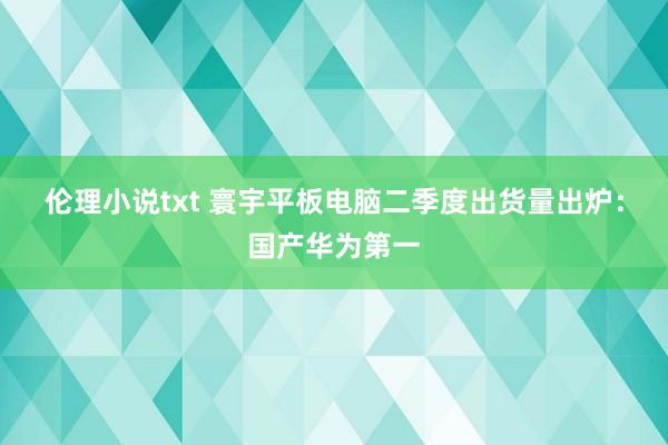 伦理小说txt 寰宇平板电脑二季度出货量出炉：国产华为第一