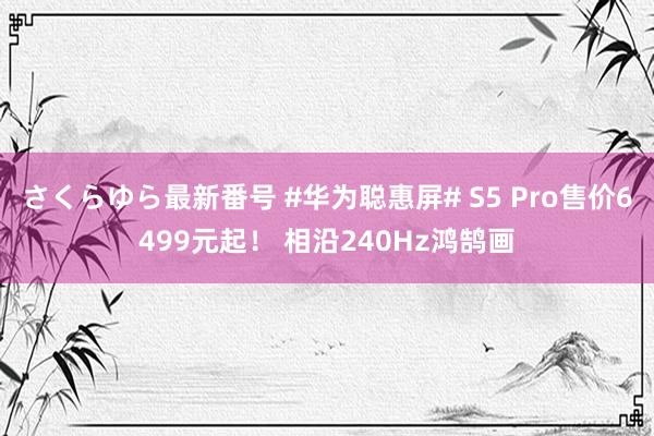 さくらゆら最新番号 #华为聪惠屏# S5 Pro售价6499元起！ 相沿240Hz鸿鹄画