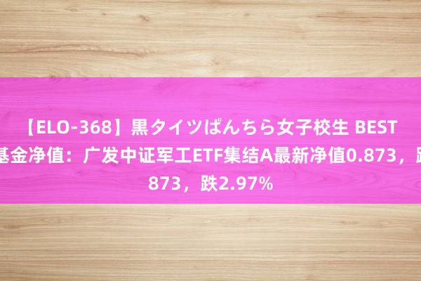 【ELO-368】黒タイツぱんちら女子校生 BEST 8月5日基金净值：广发中证军工ETF集结A最新净值0.873，跌2.97%