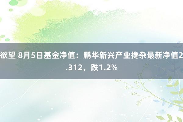 欲望 8月5日基金净值：鹏华新兴产业搀杂最新净值2.312，跌1.2%