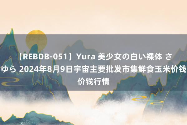 【REBDB-051】Yura 美少女の白い裸体 さくらゆら 2024年8月9日宇宙主要批发市集鲜食玉米价钱行情