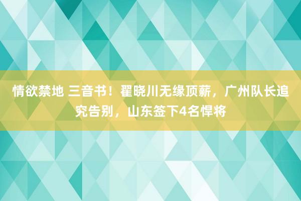 情欲禁地 三音书！翟晓川无缘顶薪，广州队长追究告别，山东签下4名悍将