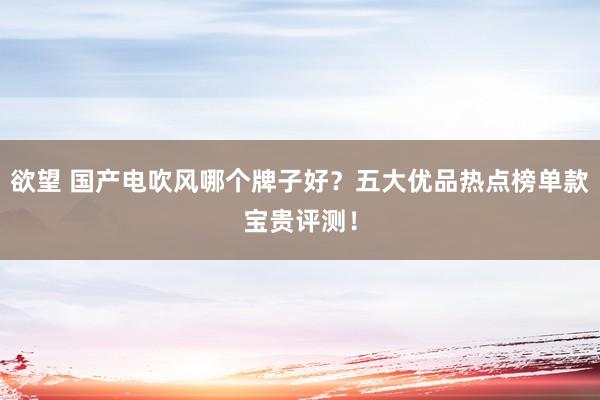 欲望 国产电吹风哪个牌子好？五大优品热点榜单款宝贵评测！