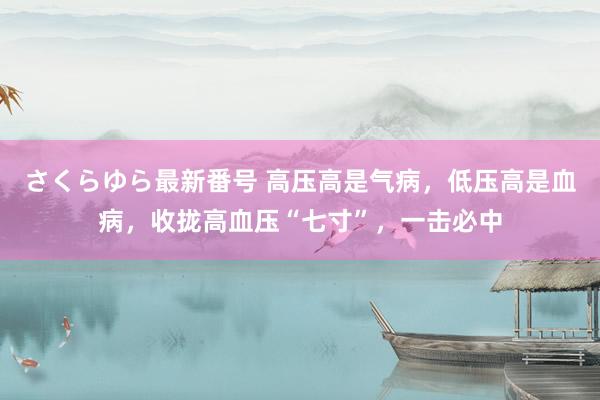 さくらゆら最新番号 高压高是气病，低压高是血病，收拢高血压“七寸”，一击必中