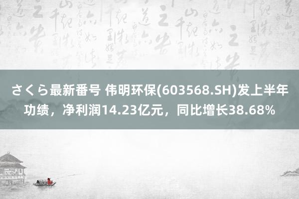 さくら最新番号 伟明环保(603568.SH)发上半年功绩，净利润14.23亿元，同比增长38.68%