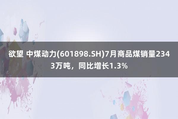 欲望 中煤动力(601898.SH)7月商品煤销量2343万吨，同比增长1.3%