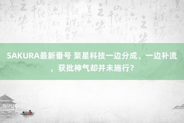 SAKURA最新番号 聚星科技一边分成、一边补流，获批神气却并未施行？