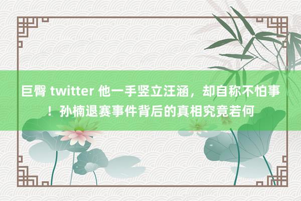 巨臀 twitter 他一手竖立汪涵，却自称不怕事！孙楠退赛事件背后的真相究竟若何