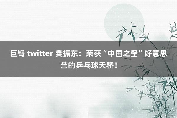 巨臀 twitter 樊振东：荣获“中国之壁”好意思誉的乒乓球天骄！