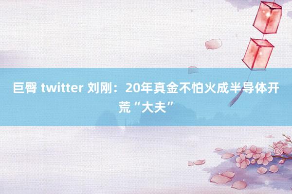 巨臀 twitter 刘刚：20年真金不怕火成半导体开荒“大夫”