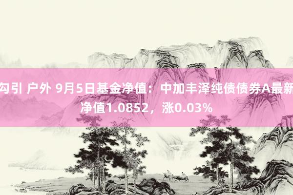 勾引 户外 9月5日基金净值：中加丰泽纯债债券A最新净值1.0852，涨0.03%