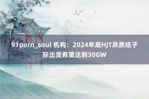 91porn_soul 机构：2024年底HJT异质结子际出货有望达到30GW