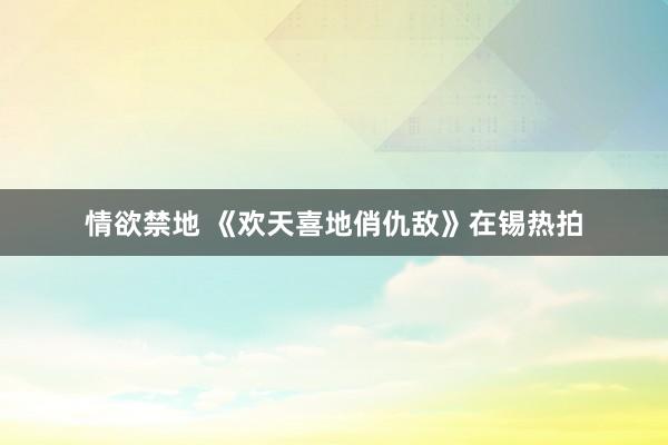 情欲禁地 《欢天喜地俏仇敌》在锡热拍